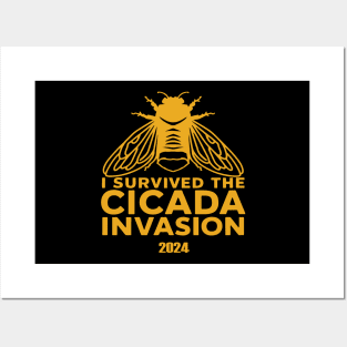 Cicada Invasion Tour 2024 Posters and Art